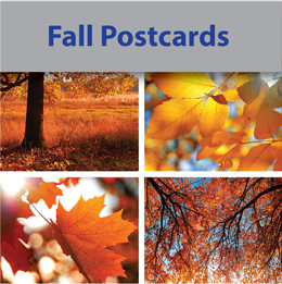 Fall Postcards